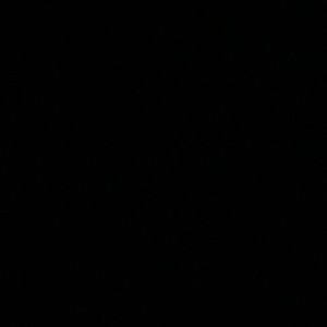 Meet your Posher, Litzy